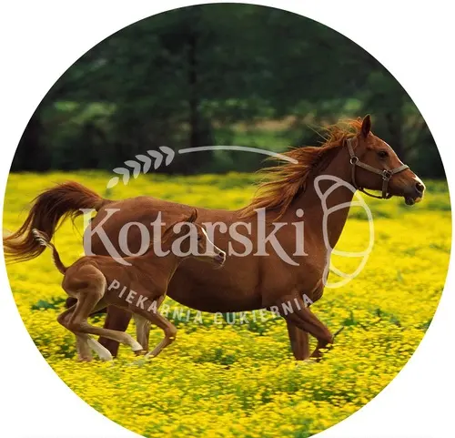 Opłatek 64 – Konie